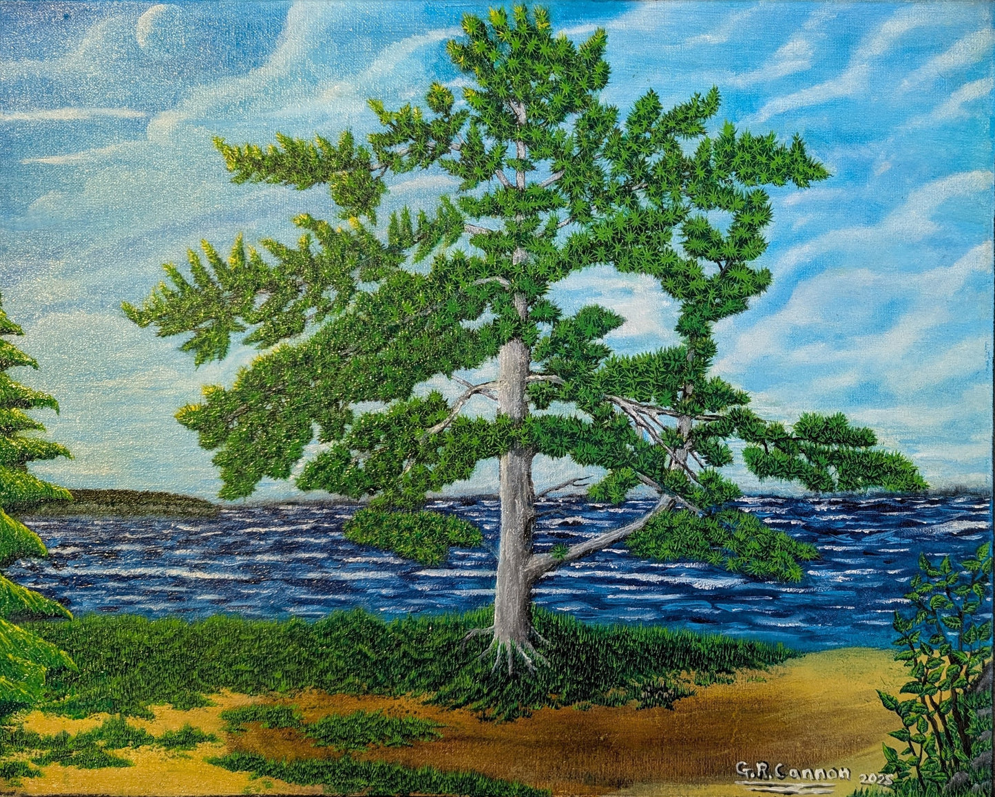 Old Pine on the Beach