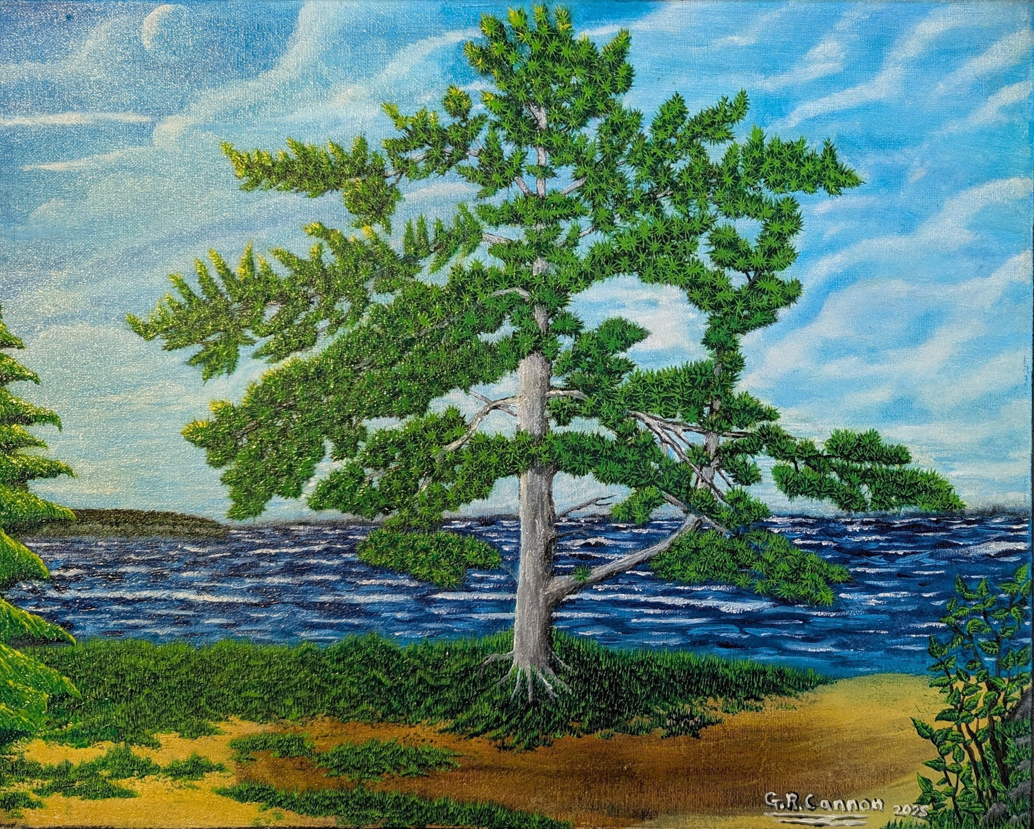 Old Pine on the Beach