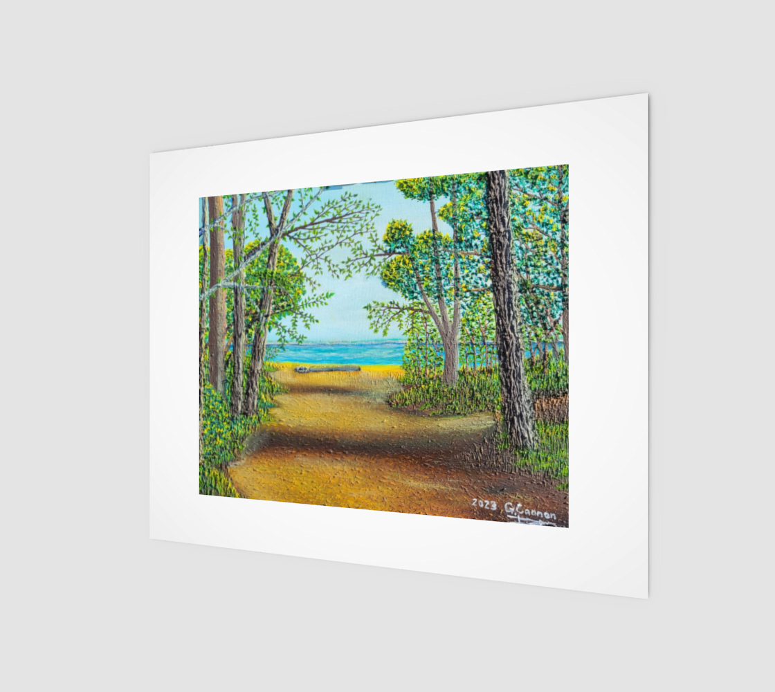 Summer at Bootlegger's Beach